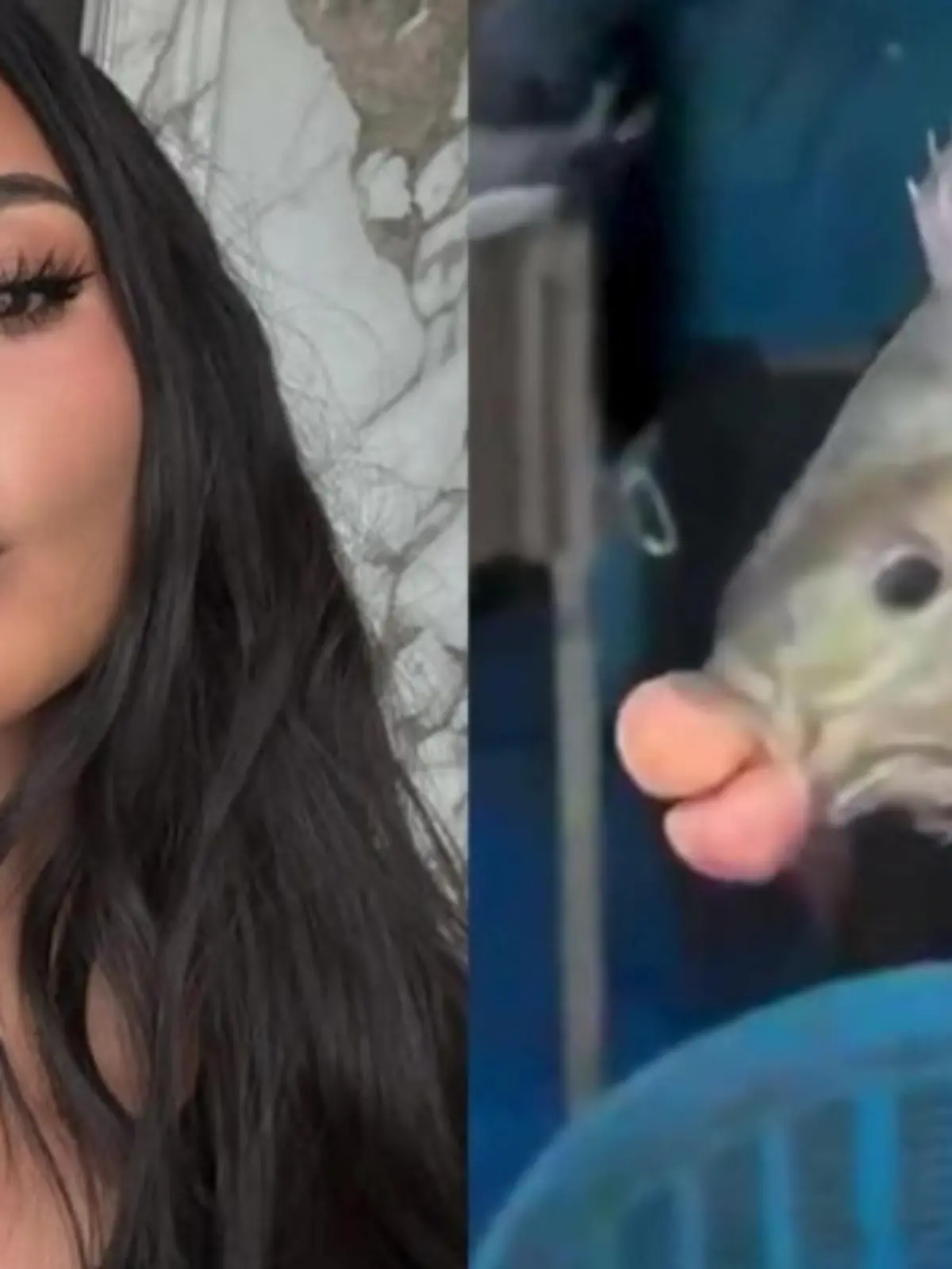 Fisch mit Schollmund