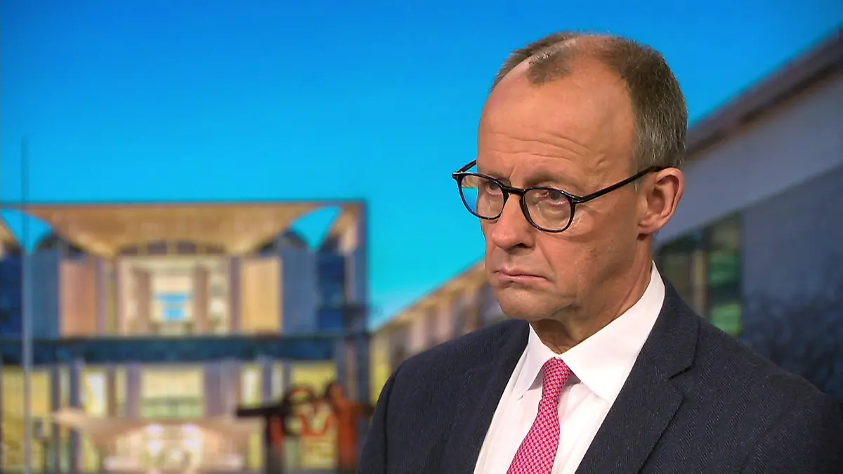 „Holen uns Probleme ins Land, die wir nicht haben wollen“ Merz mit Knallhart-Aussage!