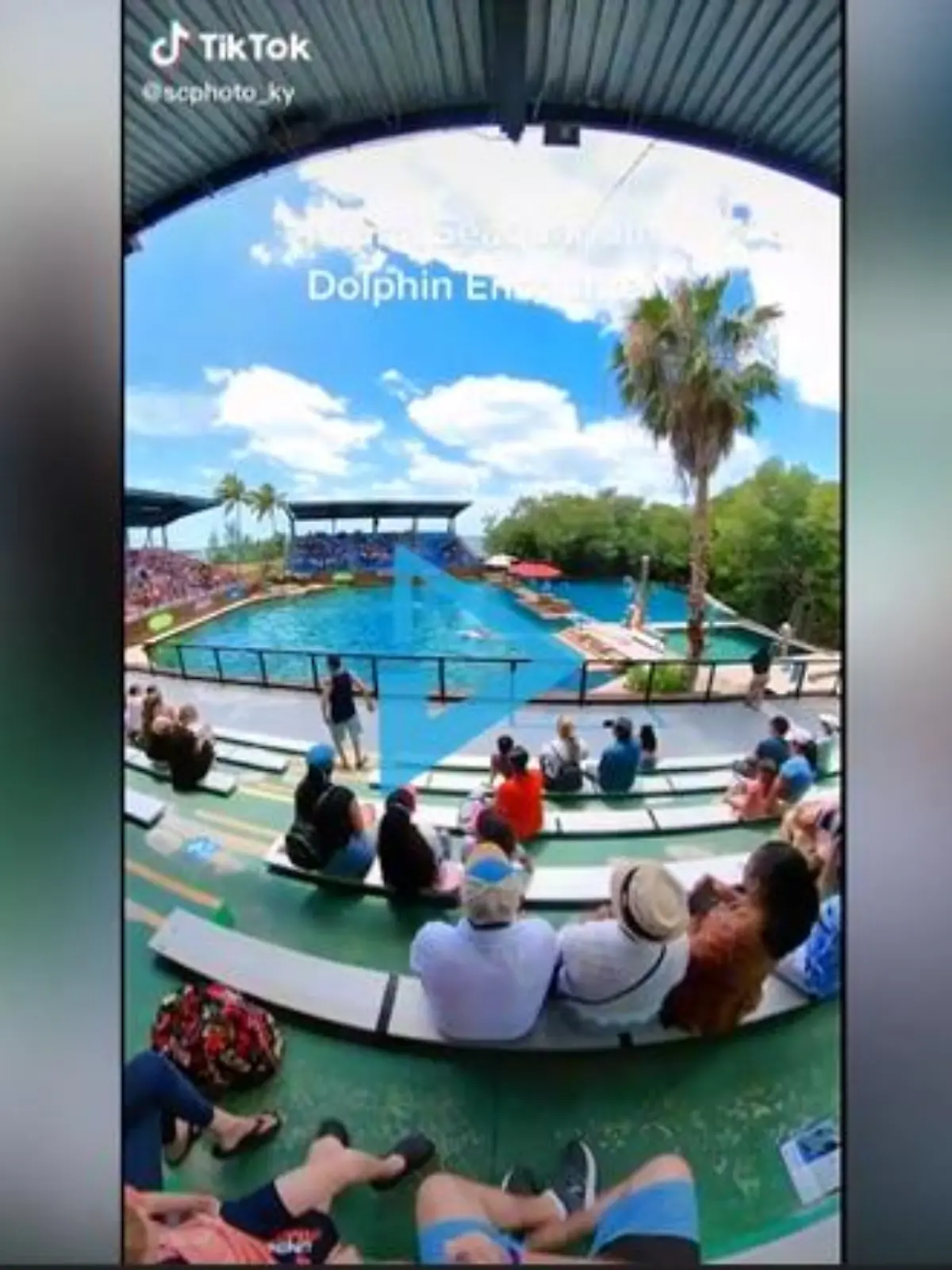 In Miami griff ein Delfin eine Trainerin an.