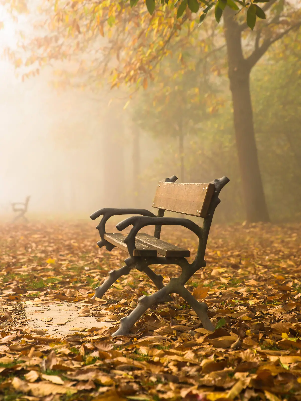 Einsame Parkbank an einem nebeligen Novembermorgen im herbstlichen Schlosspark in Wiesbaden