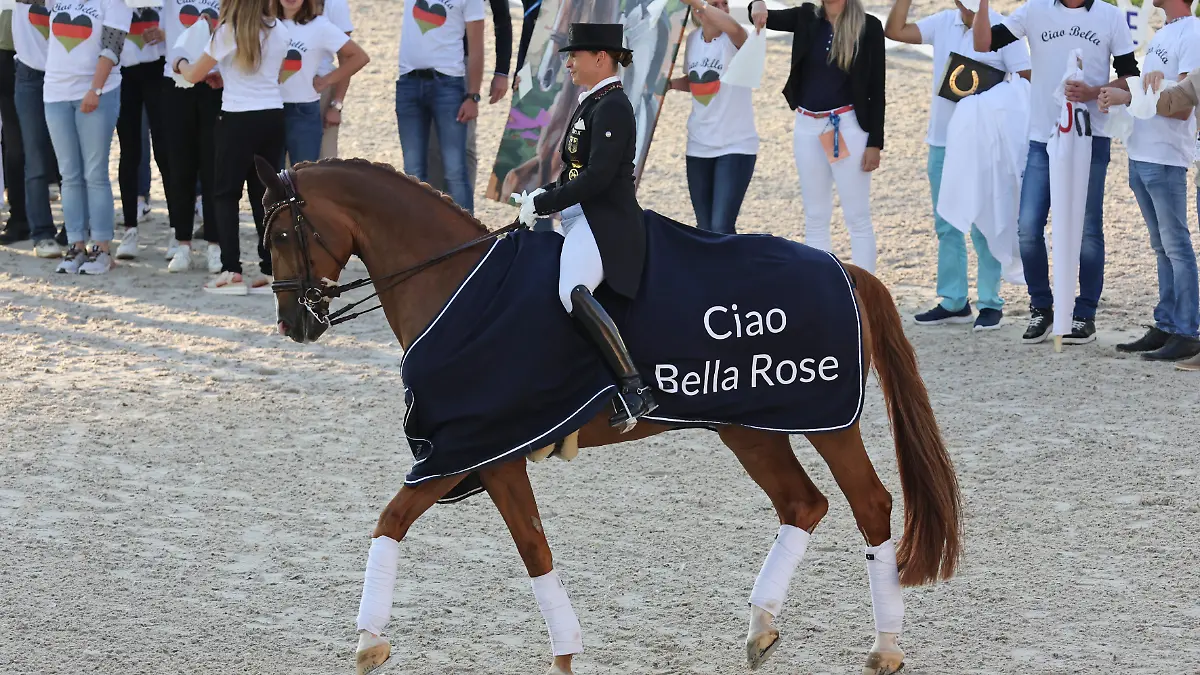 Isabell Werths Erfolgspferd Bella Rose bei ihrer Verabschiedung von der Profisport-Bühne.