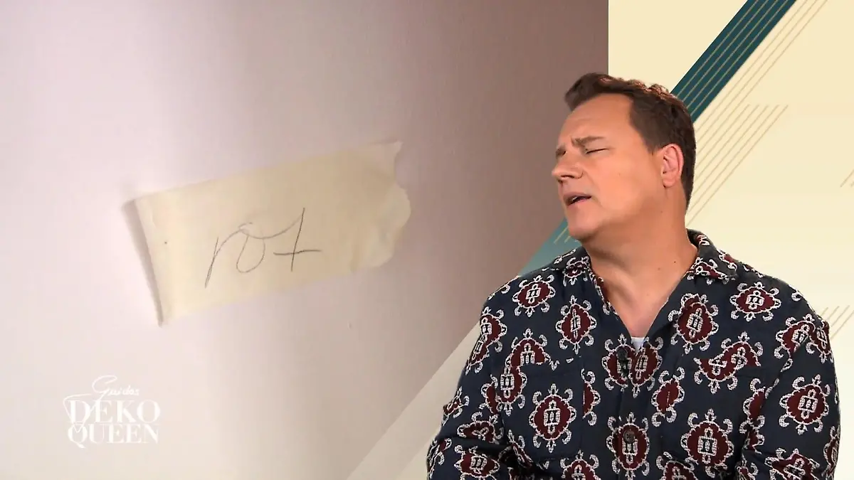 Die Wandfarbe ist für ihn ein Fehler Guido ist dezent geschockt