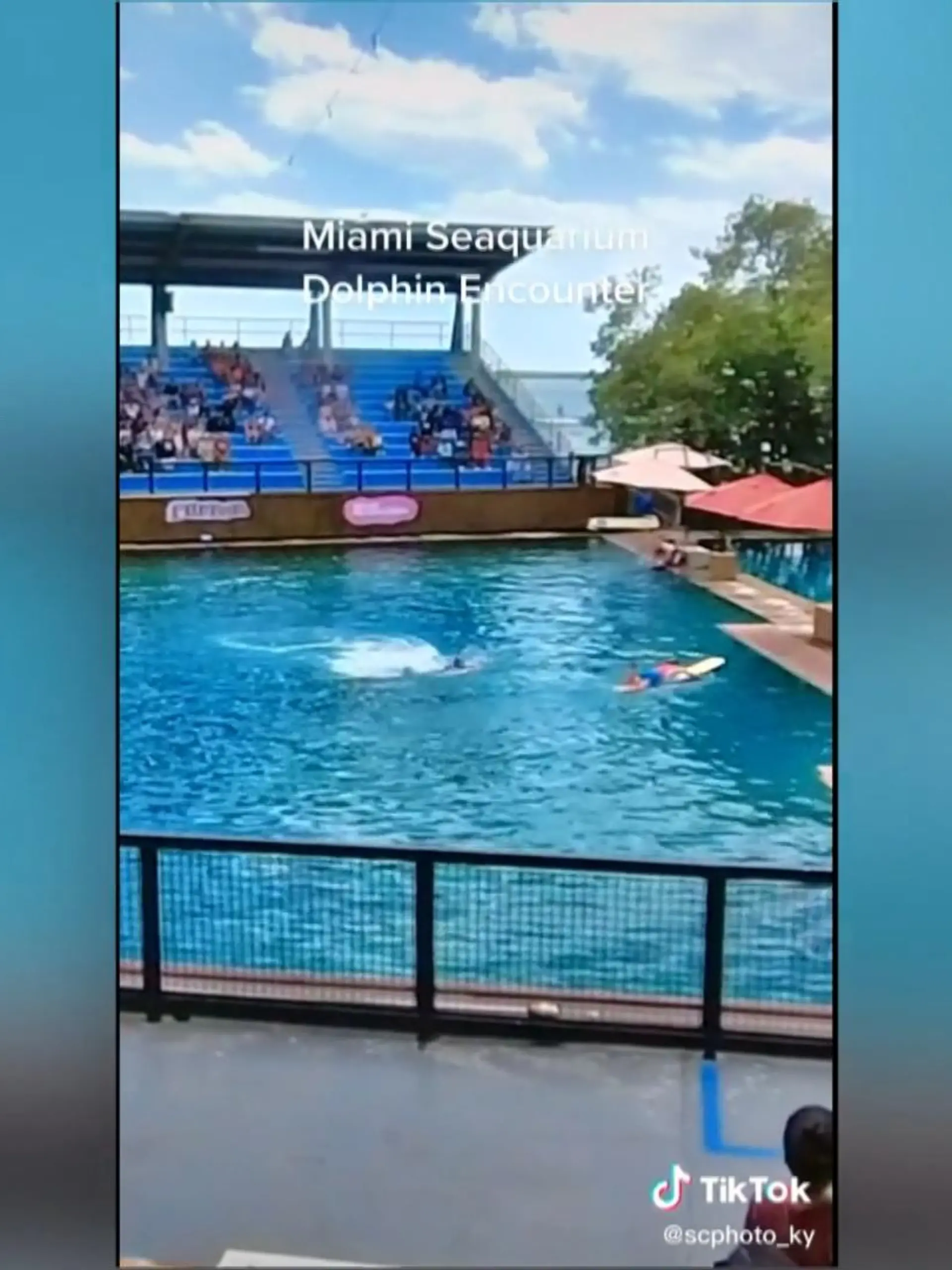 In Miami (USA) ist eine Delfintrainerin während einer Show von einem Delfin angegriffen worden. Auf den Videoaufnahmen ist zu sehen, wie sie immer wieder gestoßen und unter Wasser gezogen wird. Gott sei Dank geht alles gut, sie kann ans Ufer schwimmen. Dort kümmert sich eine Kollegin um sie.