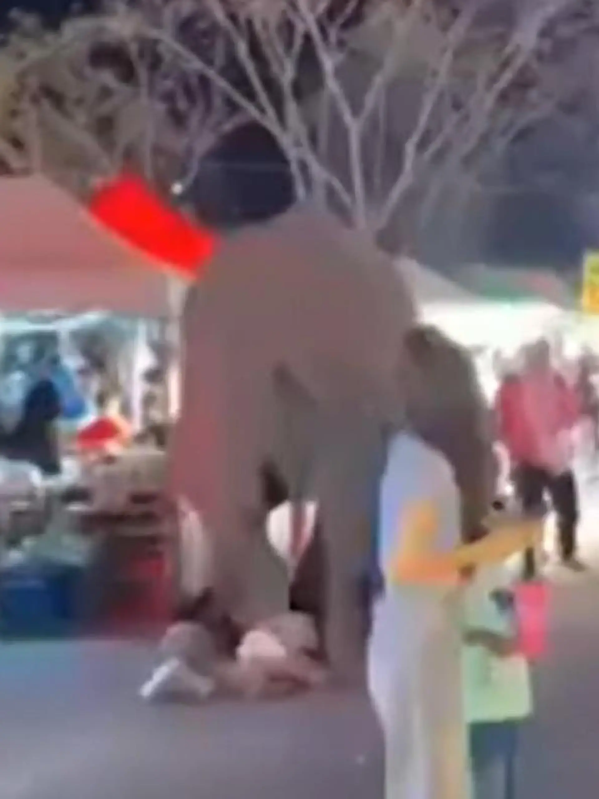 Panik bei Feuerwerk – Elefant tobt durch Jahrmarktsbesucher