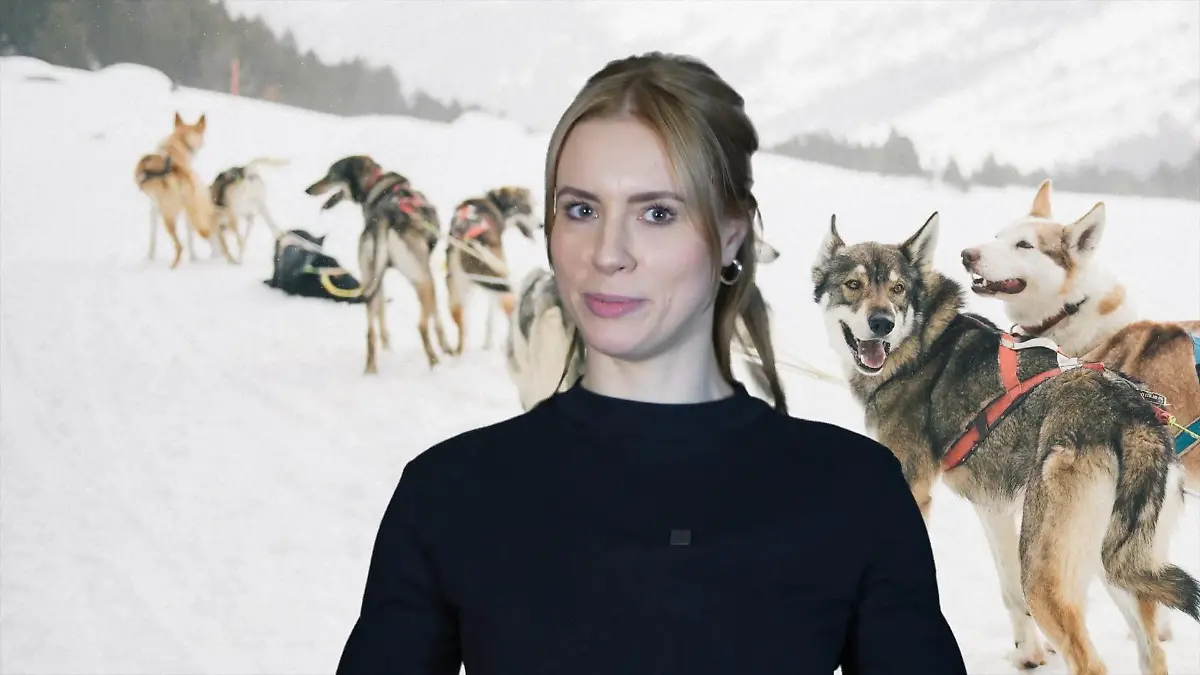 Der perfekte Urlaubsort für GZSZ-Schauspielerin Lara Dandelion Seibert ist eine Husky-Farm!