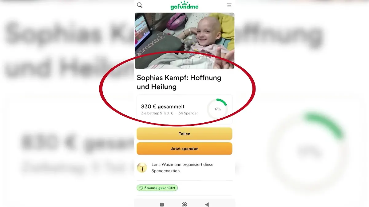 Fake-Spendenseite mit Melinas Foto 