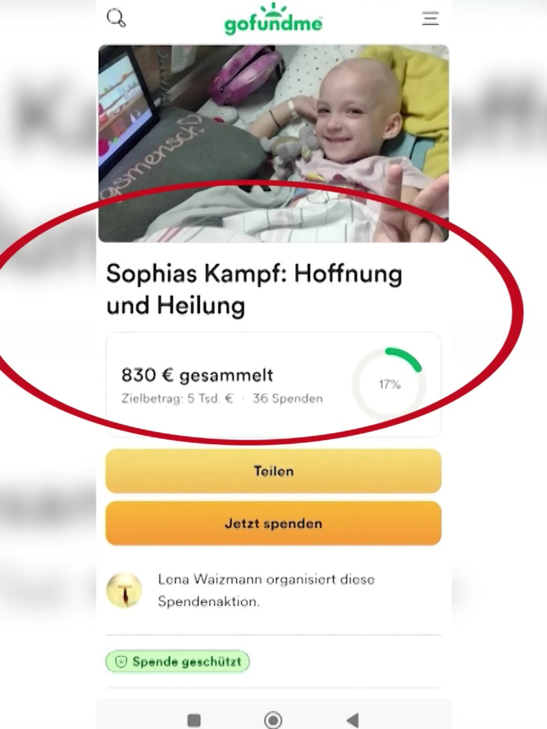 Fake-Spendenseite mit Melinas Foto 