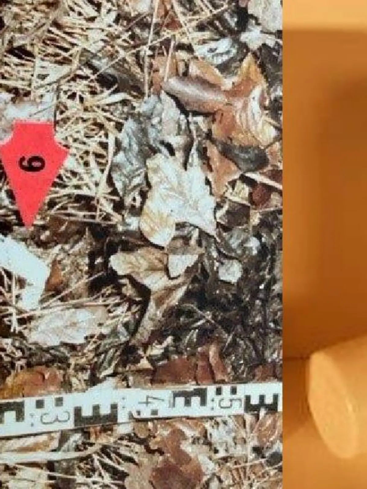 Spur im Mordfall Eveline Höbler
