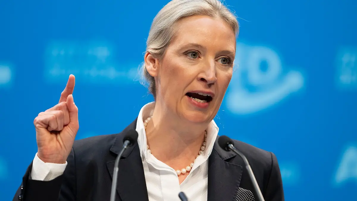 Weidel hat die Union erneut aufgefordert, mit ihrer Partei zusammenzuarbeiten. (Archivbild)