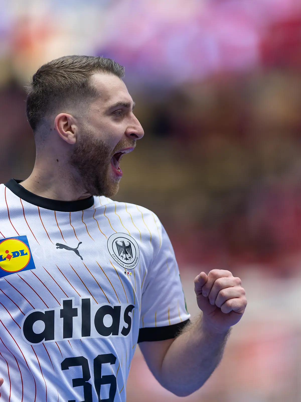 Lukas Mertens outet sich als Dschungel-Fan.