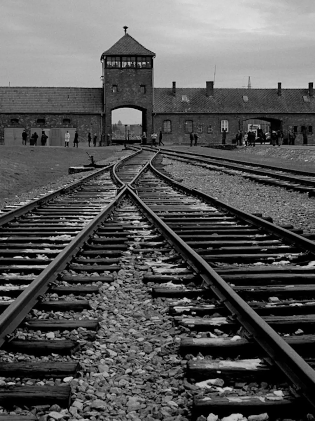 Bild zu: "80 Jahre nach Auschwitz-Befreiung"