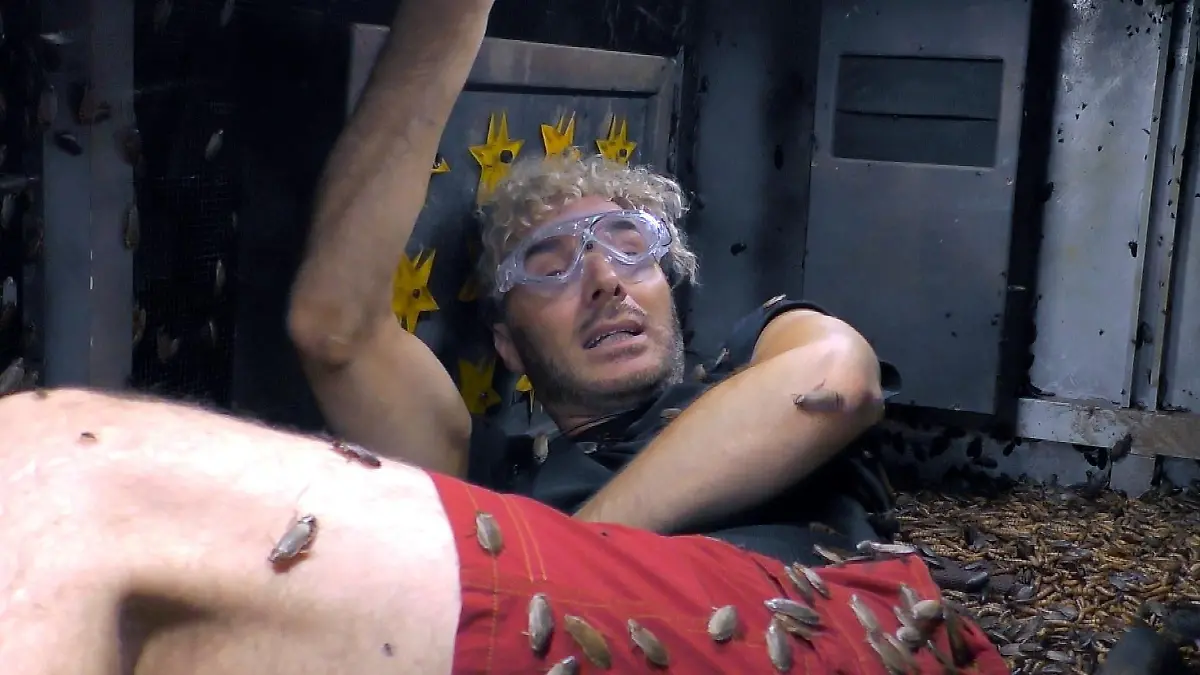 Alessia und Sam Dylan müssen zur gemeinsamen Dschungelprüfung „KFZ-Würgstatt” antreten. Sam wird auf der Ladefläche eines alten Transporters eingesperrt und muss mit den von Alessia gefundenen Werkzeugen Sterne abschrauben. Ratten, Kakerlaken, Heuschrecken, Fliegen und Mehlwürmer natürlich wird Sam nicht alleine auf der Ladefläche bleiben.