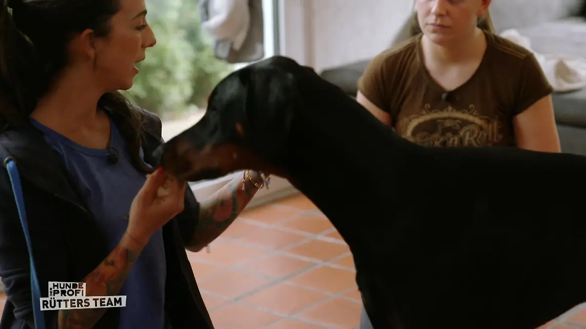 Kann die Trainerin den stürmischen Akosch bändigen? Ellen kommt zur Hilfe