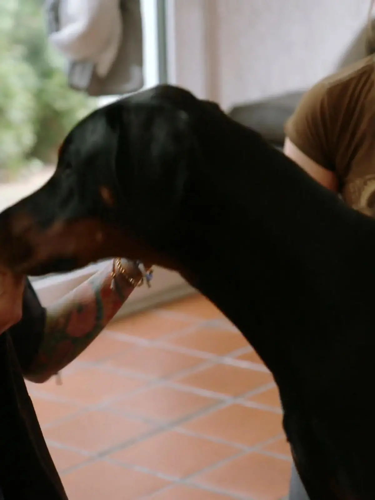 Bild zu: "Kann die Trainerin den stürmischen Akosch bändigen?"