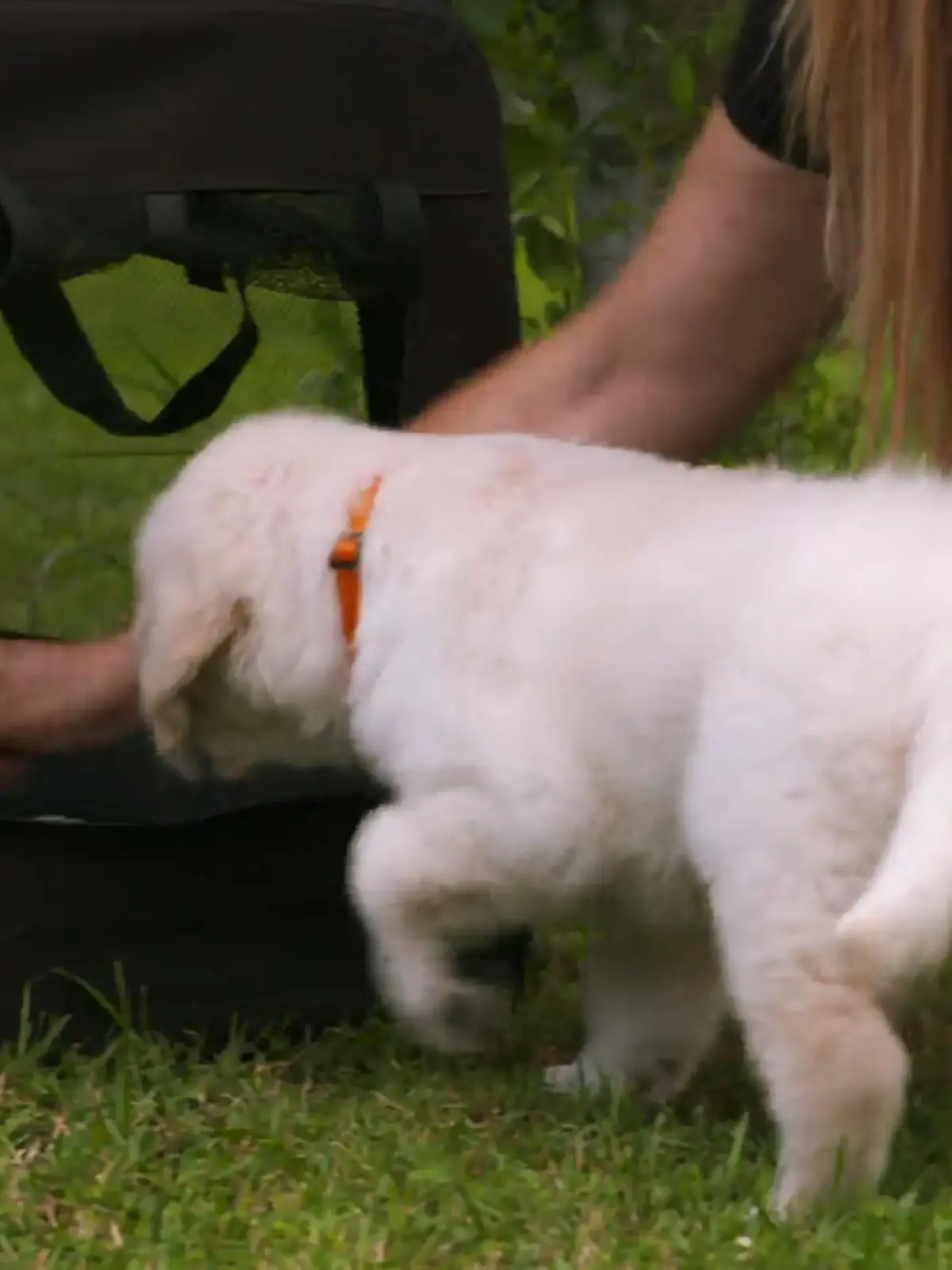 Bild zu: "Werden sich Seven und Charlie verstehen?"