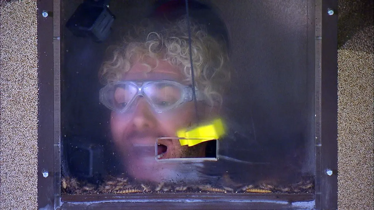 Wie die Promis jetzt über Sams Prüfungsabbrüche denken