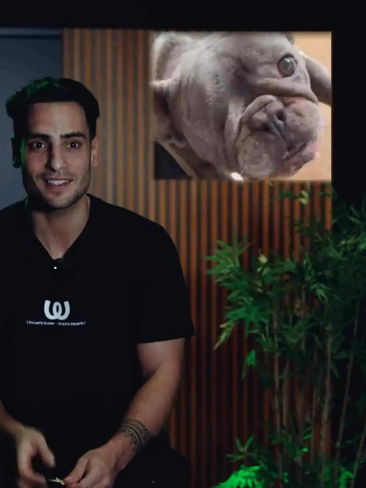 Auch privat ist Timur mittlerweile Hunde-Herrchen. Dabei hat seine Hündin Avani eine ganz rührende Geschichte. 