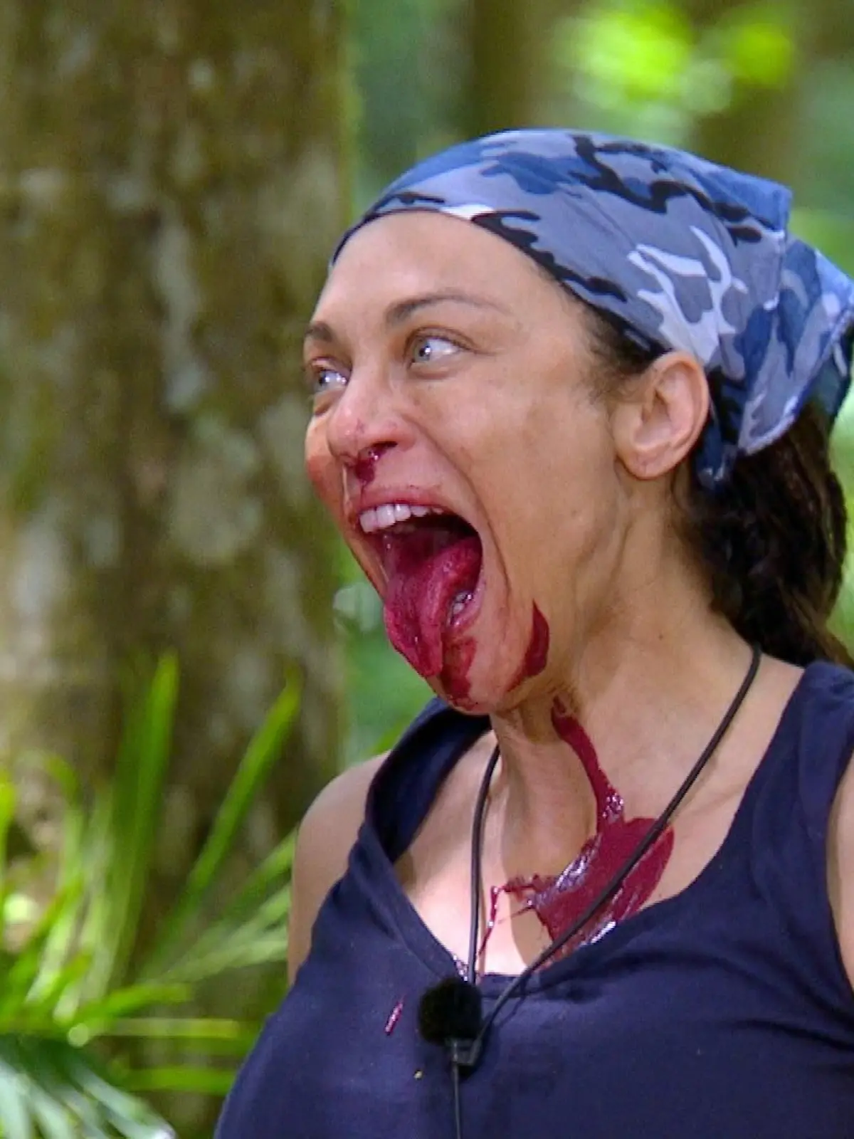 Bild zu: "Was wären die Dschungelprüfungen ohne Gesichtskirmes?"