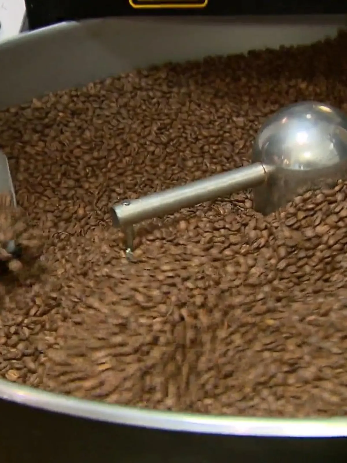 Bild zu: "Wie teuer wird unser Kaffee?"