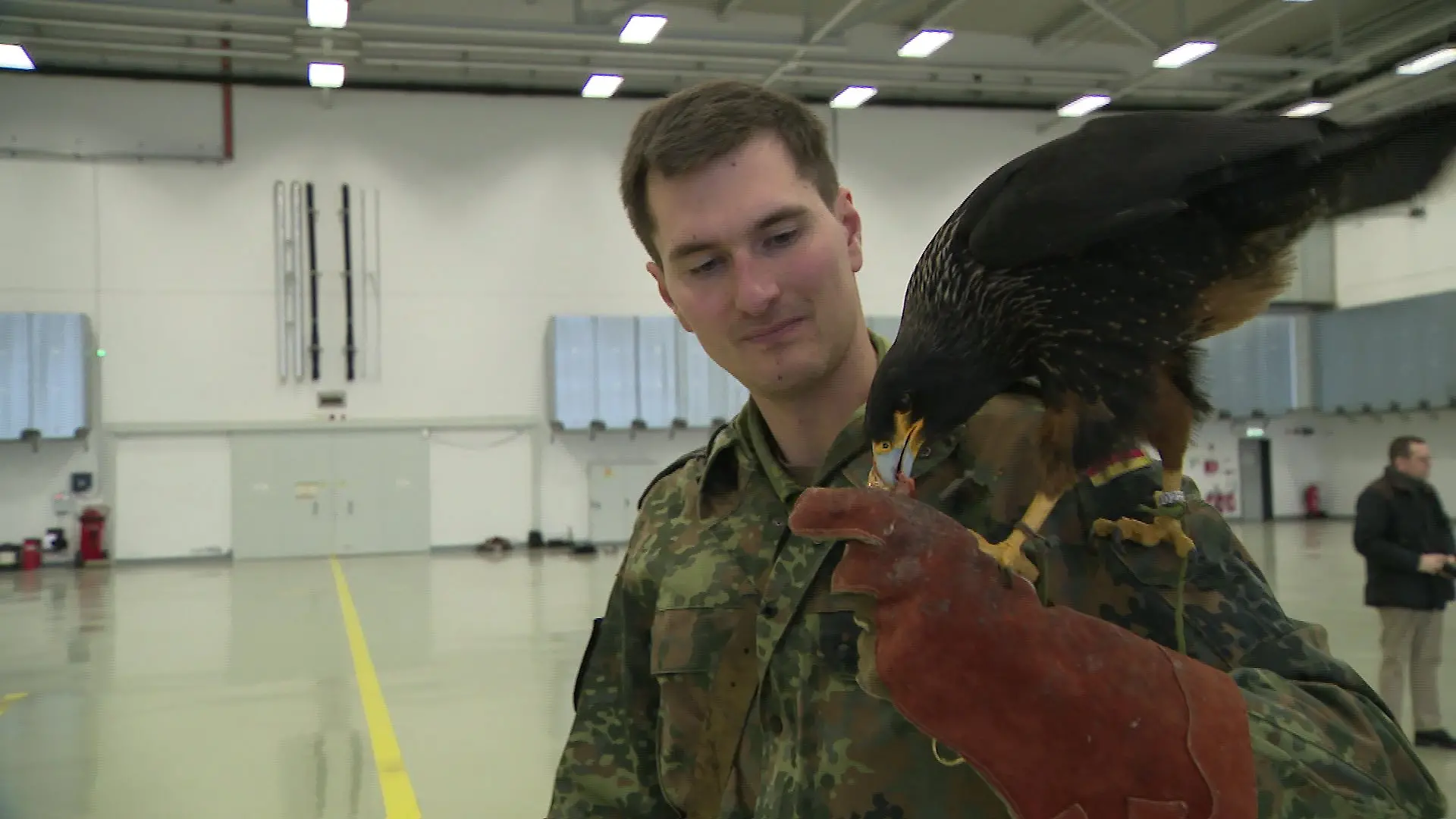 Ein Mann hat einen Greifvogel auf seinem Arm. 