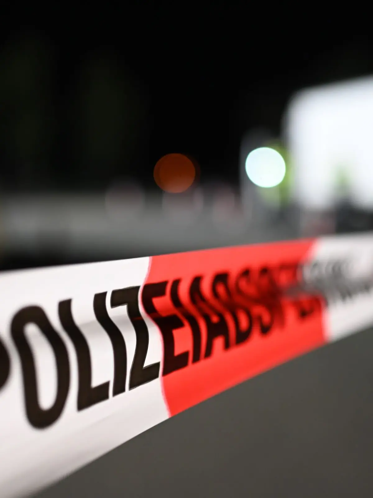 Bild zu: "Leichenteile entpuppen sich als Sexspielzeug"