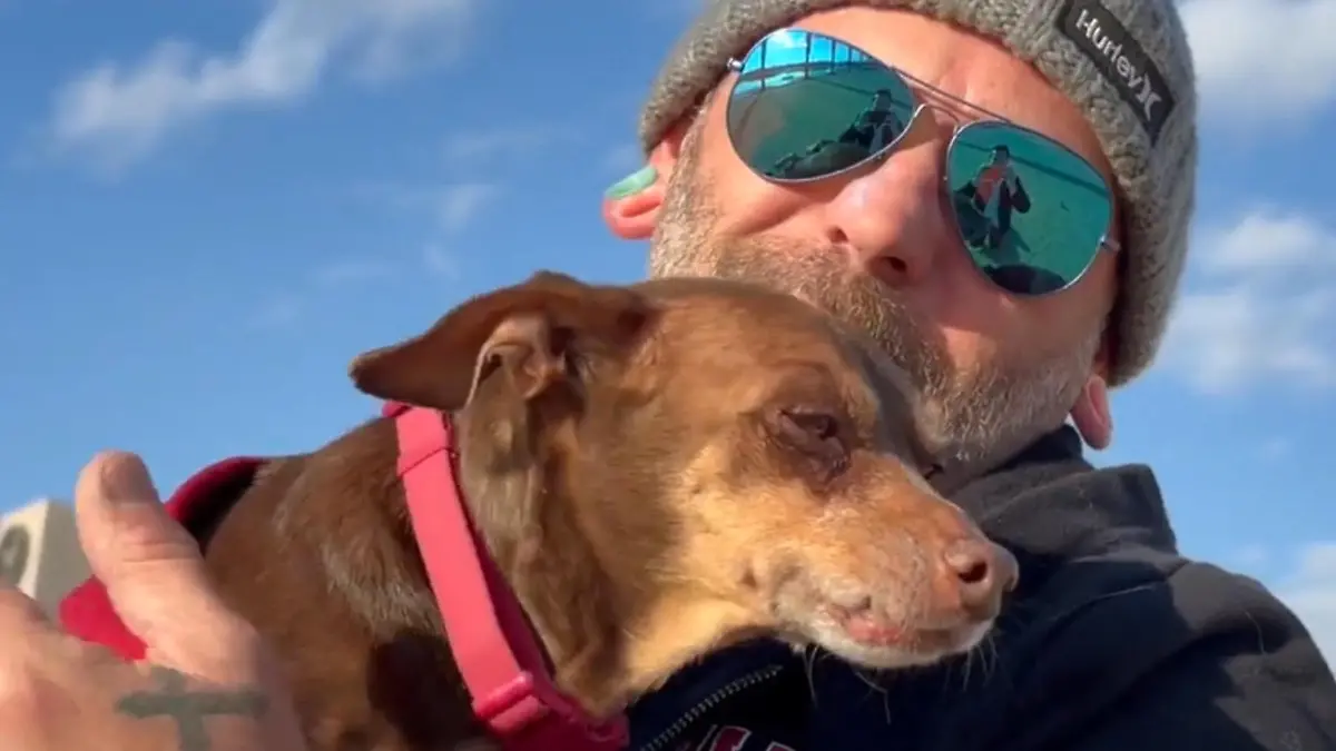 Acht Jahre Suche haben ein Ende! Herrchen mit Hund vereint Er verlor Zwergpinscher Damian an einer Tankstelle