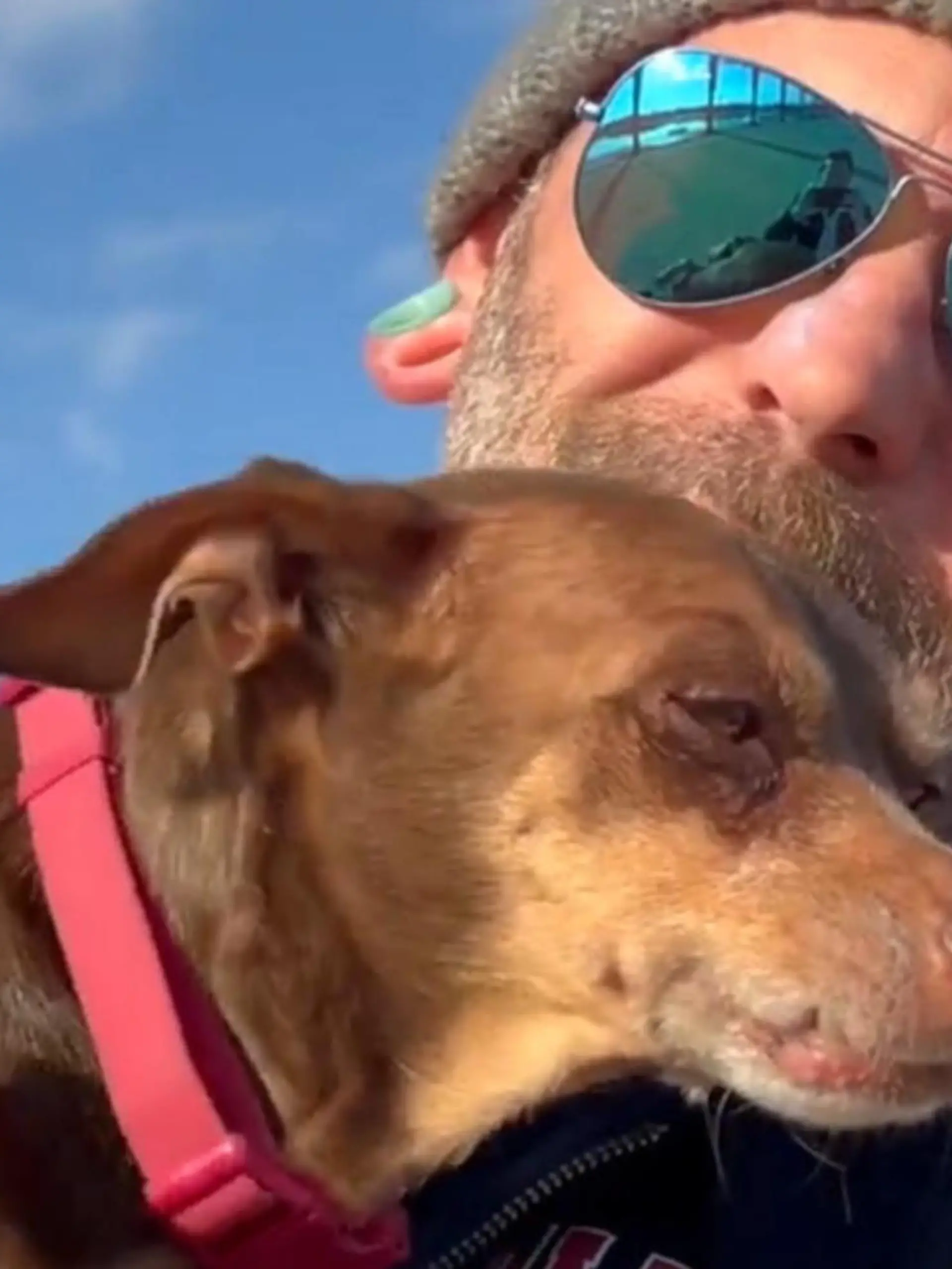 Bild zu: "Acht Jahre Suche haben ein Ende! Herrchen mit Hund wiedervereint"