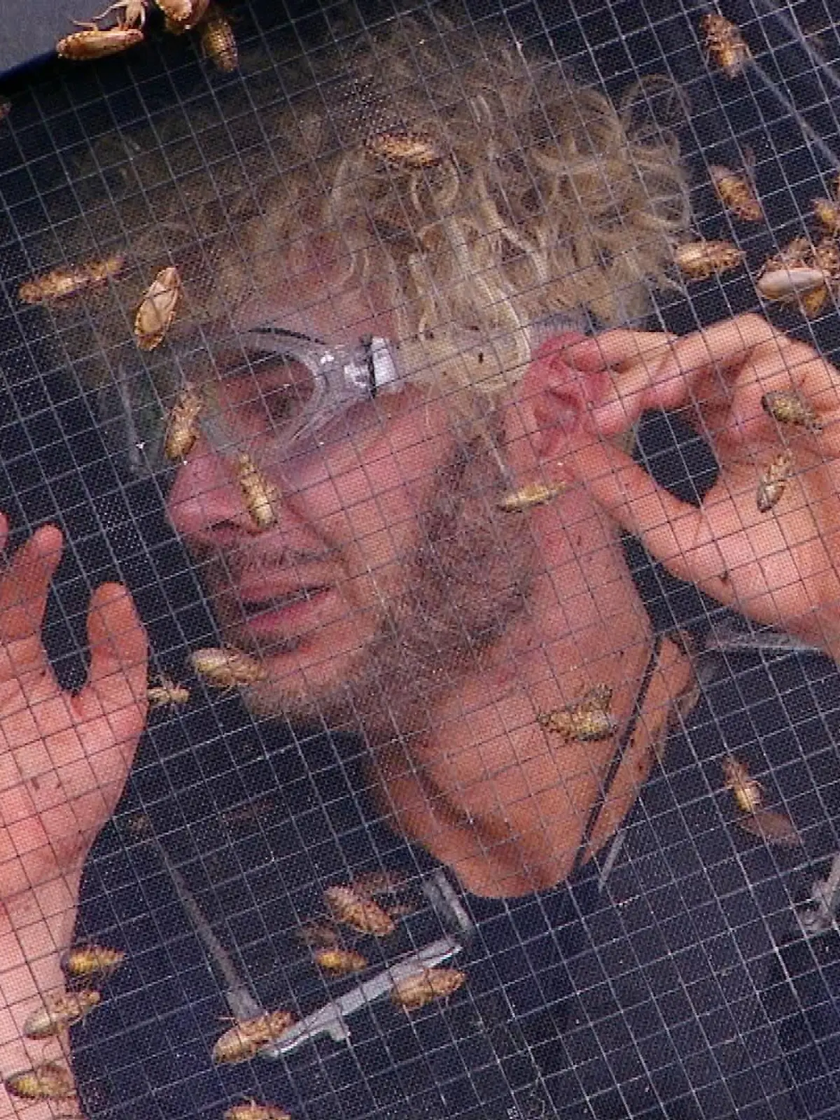 Sam Dylan bei der Dschungelprüfung „Keine Uhrsache”