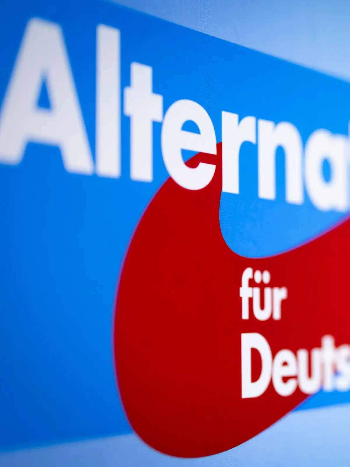Bild zu: "Das Wahlprogramm der AfD"