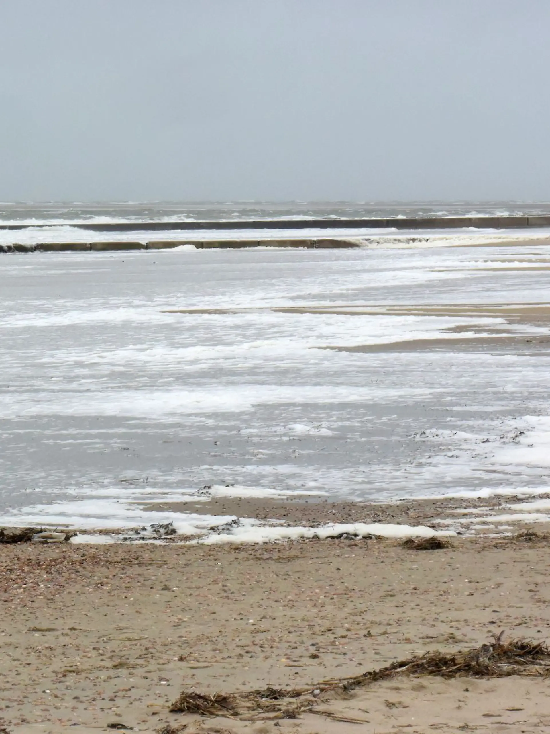 Bild zu: "Giftige Chemikalien! Greenpeace warnt vor Meeresschaum an Nord- und Ostsee"