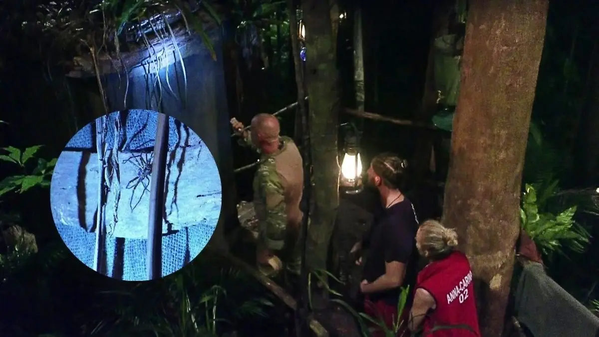 Ranger rettet Maurice und Anna-Carina vor einer Spinne auf dem Dschungel-Klo.