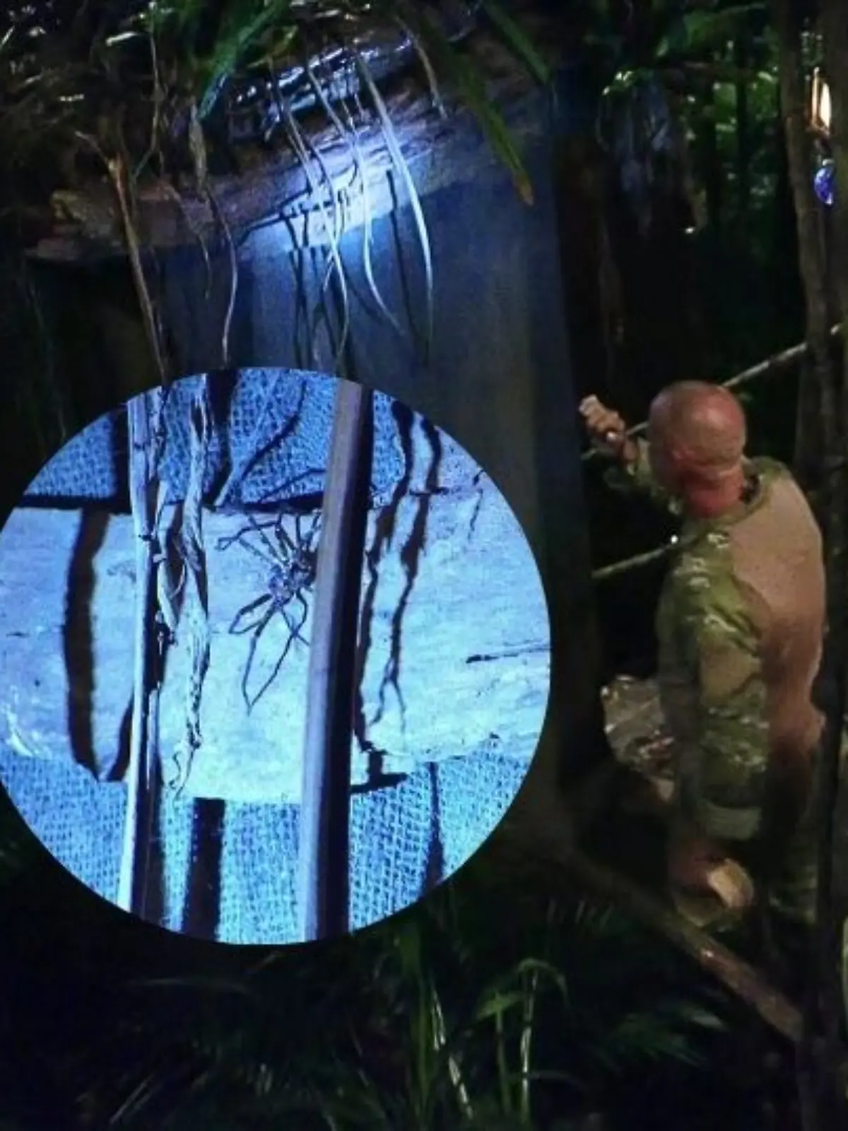 Ranger rettet Maurice und Anna-Carina vor einer Spinne auf dem Dschungel-Klo.