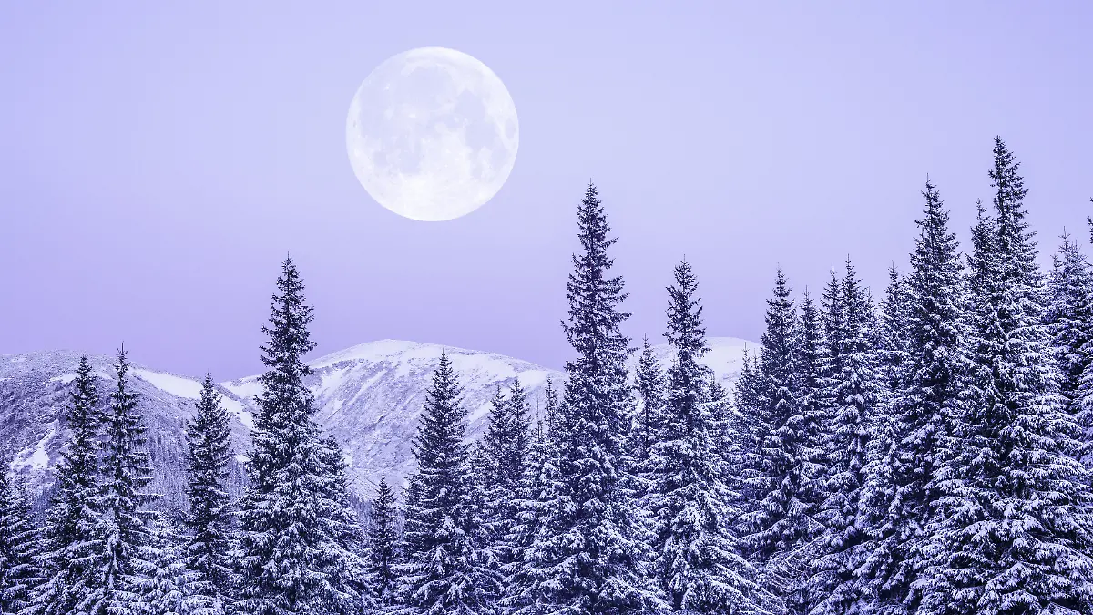 Für vier Sternzeichen wird der Schneemond am 12. Februar 2025 ganz besonders turbulent.