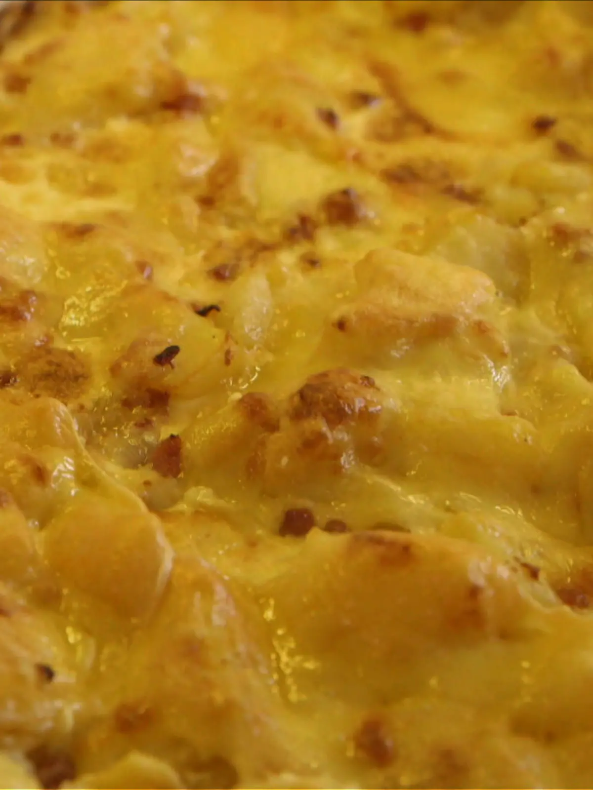 Bild zu: "Unser Lieblingsgericht: Kartoffelgratin mit Speckwürfel"