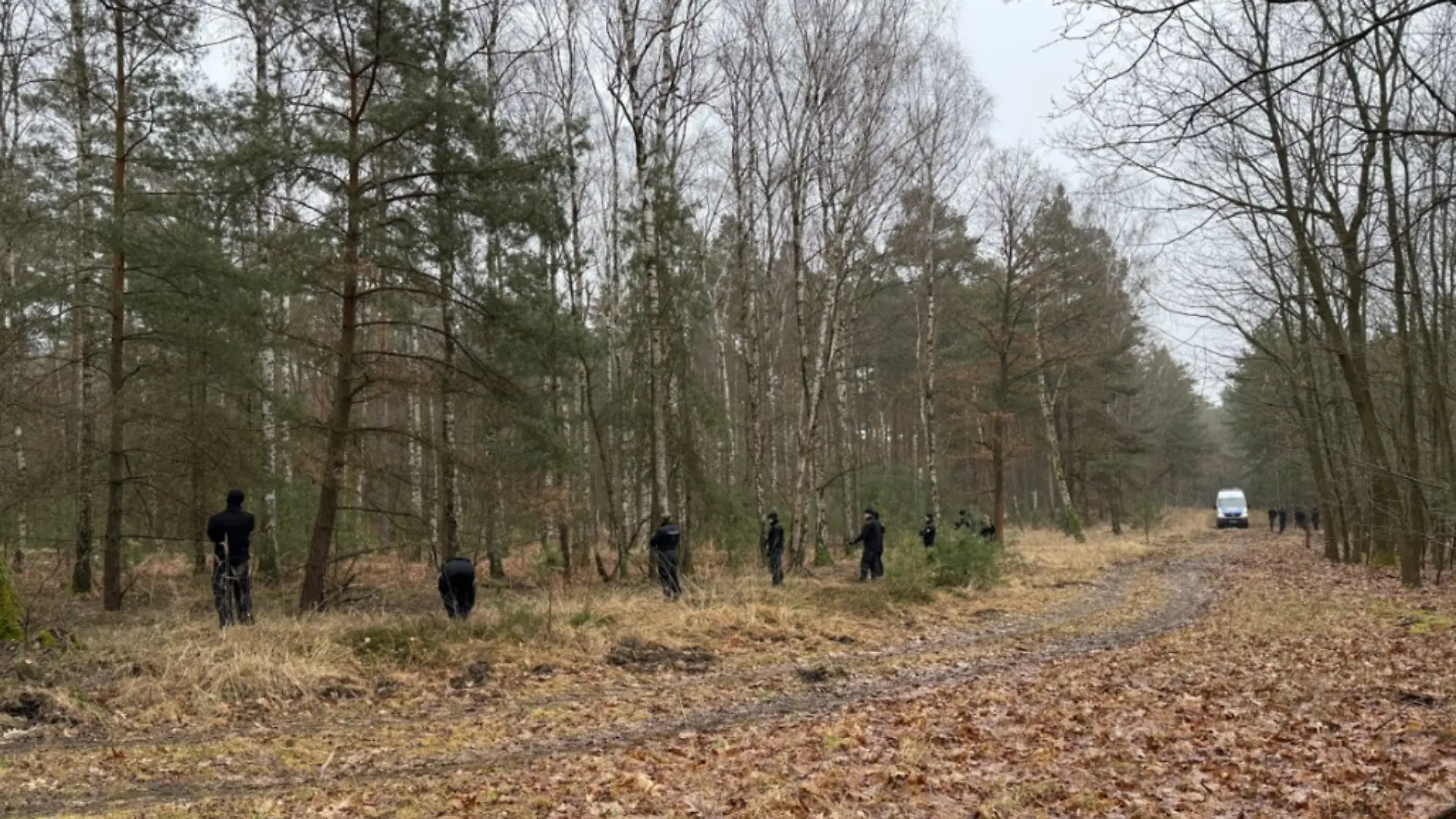 Spurensuche im Wald