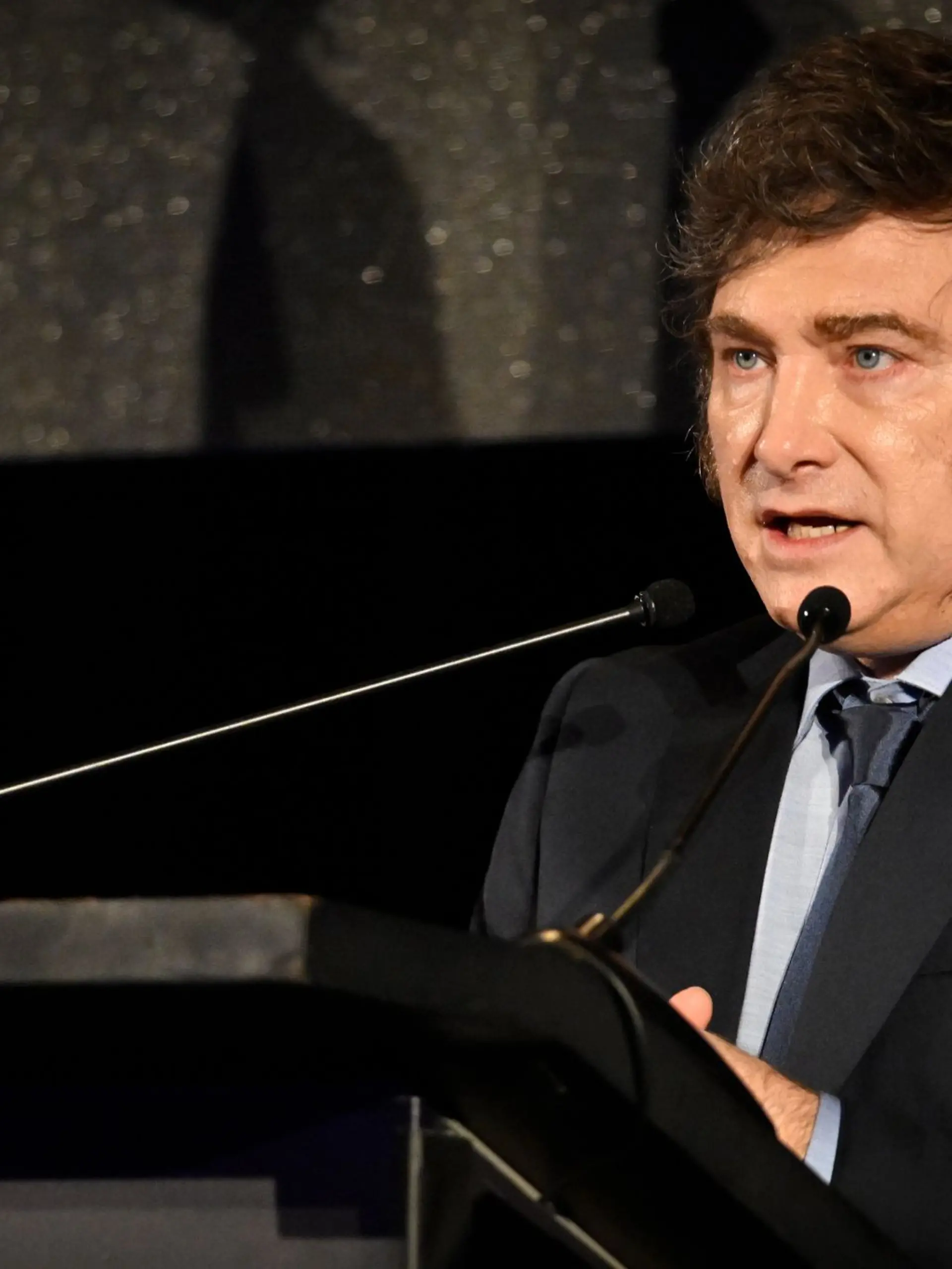 Bild zu: "Argentiniens Präsident mit Steinen und Flaschen beworfen"