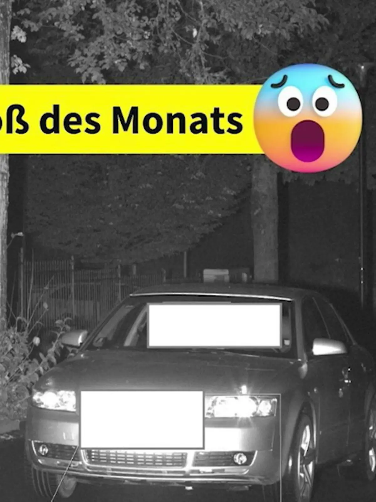 Bild zu: "Polizei stellt Dresdner Raser an den Pranger"