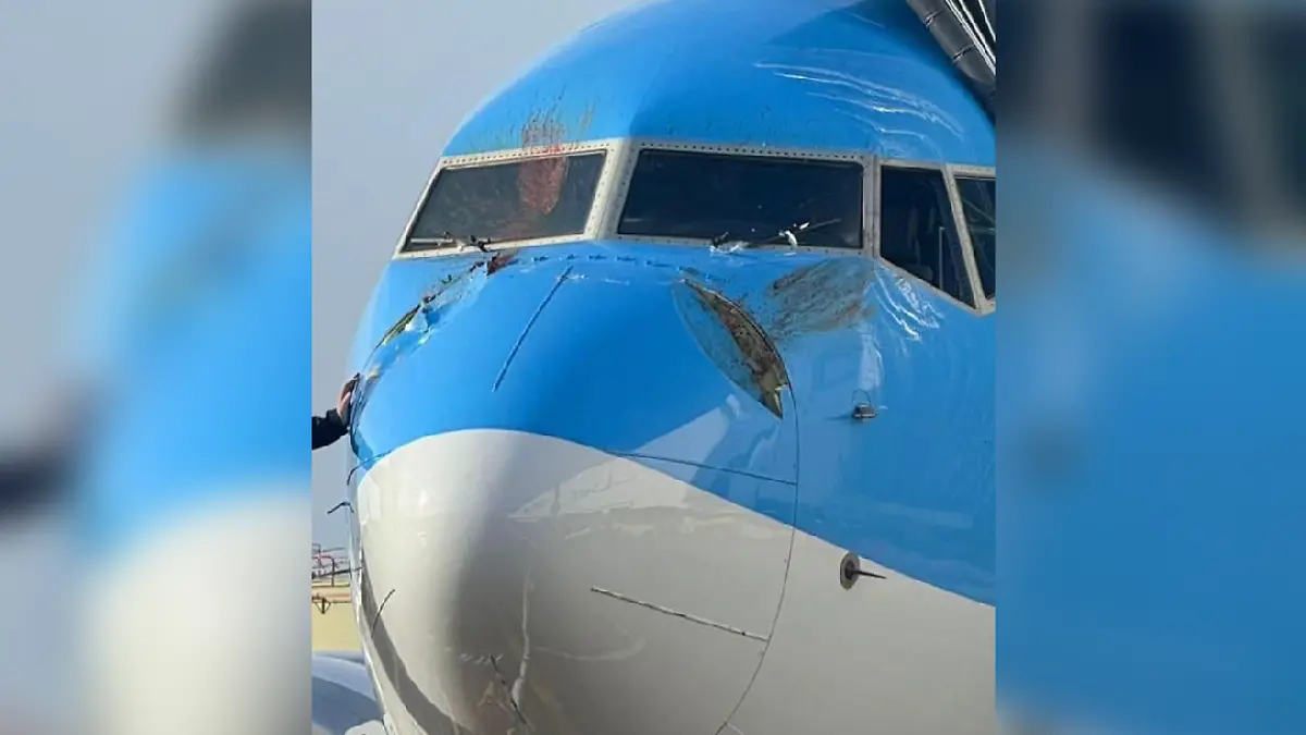 Die blutigen Überreste auf der Flugzeugnase.