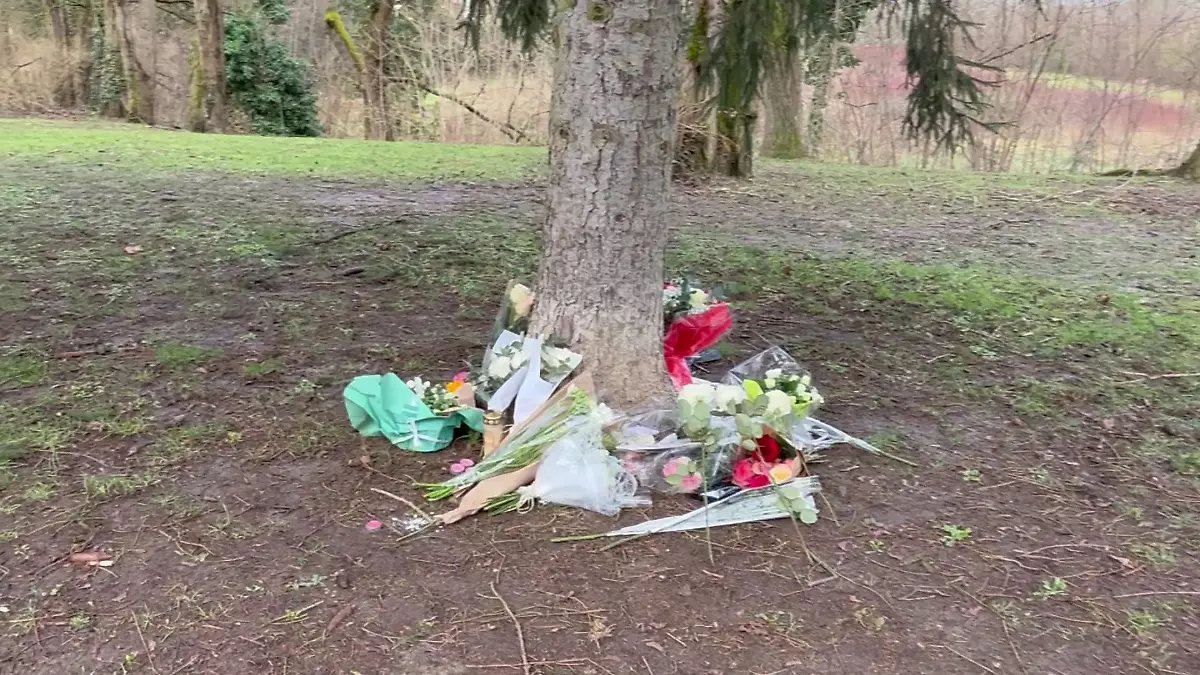 Der Bois des Templiers nahe Paris: Hier entdecken Einsatzkräfte Louises Leiche.