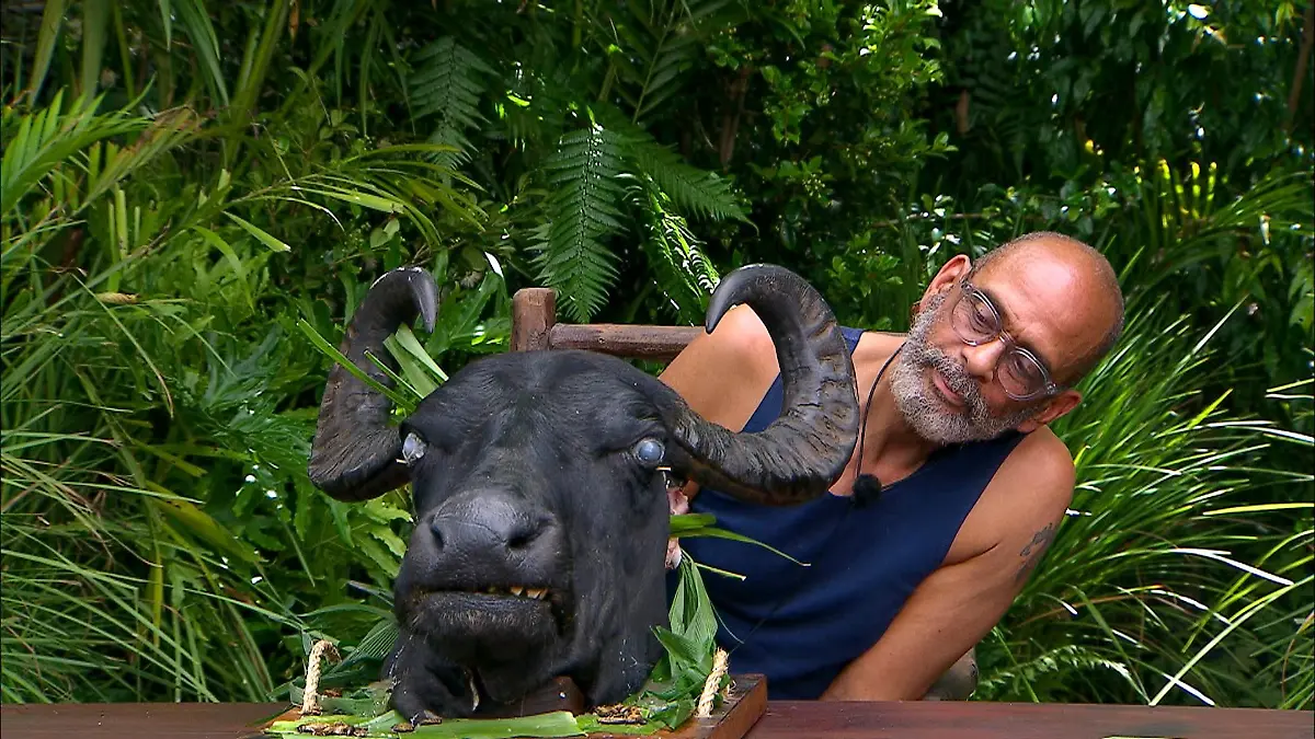 Nur Pierre erkämpft Sterne im Finale.