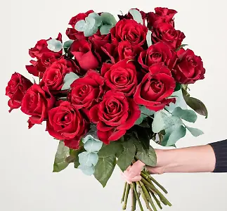 Rote Edelrosen mit Eukalyptus - 20 Stiele