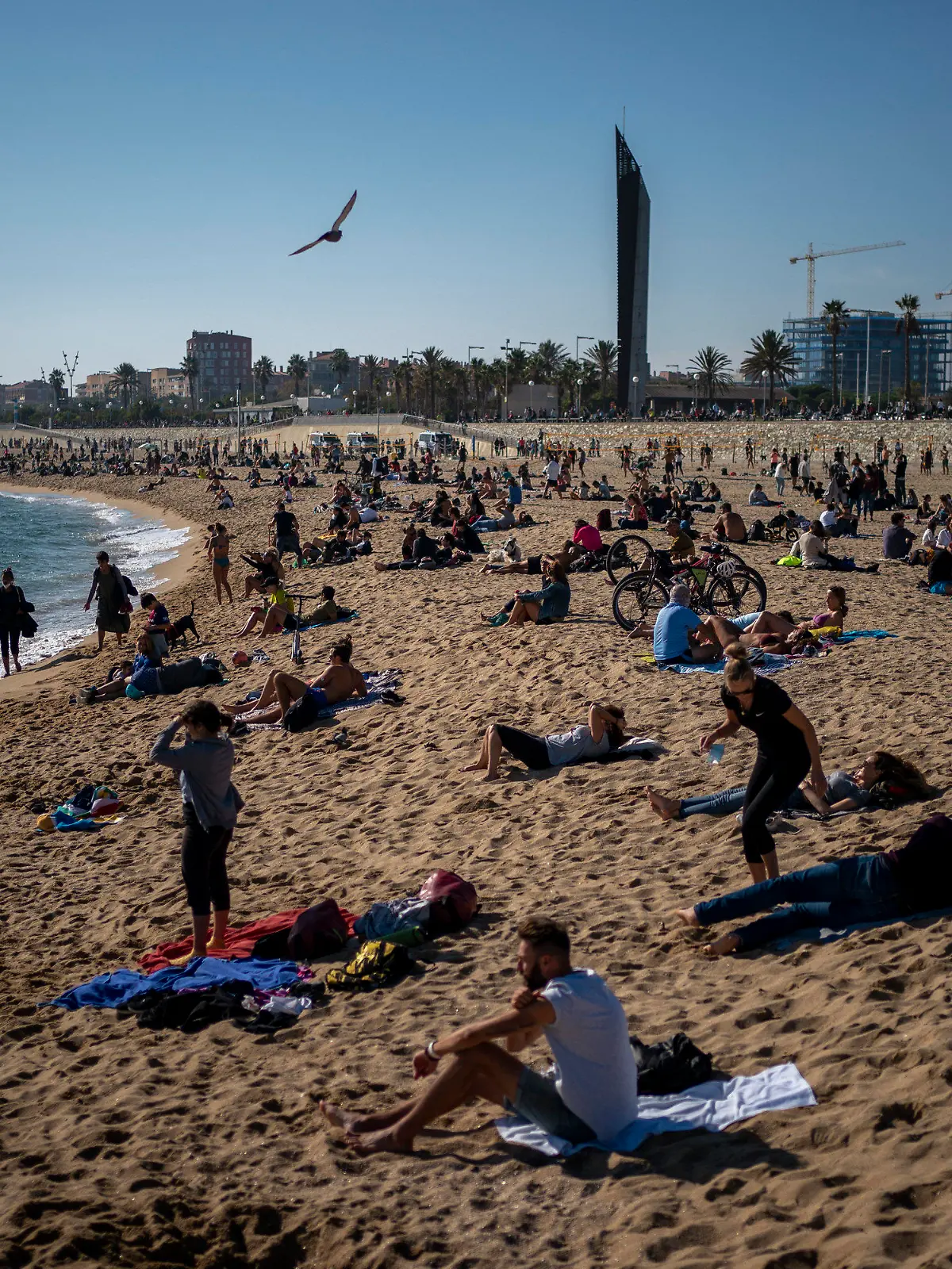 01.11.2020, Spanien, Barcelona: Menschen sonnen sich mit Abstand voneinander am Strand. Spanien ist eines der von der Corona-Krise am schwersten getroffenen Länder Westeuropas. Foto: Emilio Morenatti/AP/dpa +++ dpa-Bildfunk +++