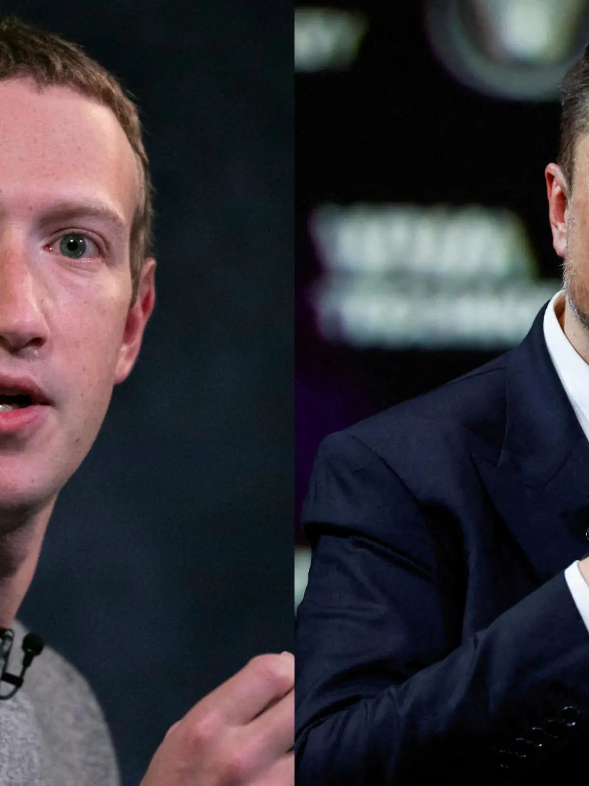 Kampf der Tech-Titanen? Elon Musk und Mark Zuckerberg verabreden sich zum Kämpfen
