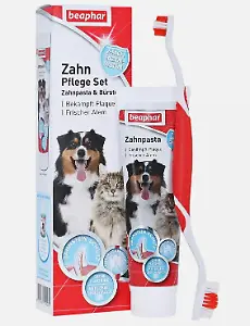 Zahnpflege-Set für Hunde (Zahnpasta und Bürste)