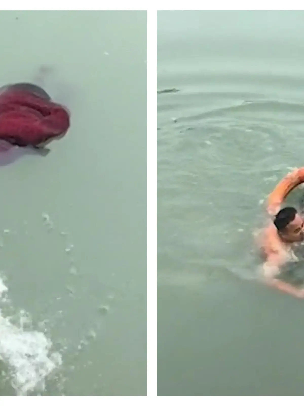 Dabei kann er nicht schwimmen! Mann springt Frau zur Rettung