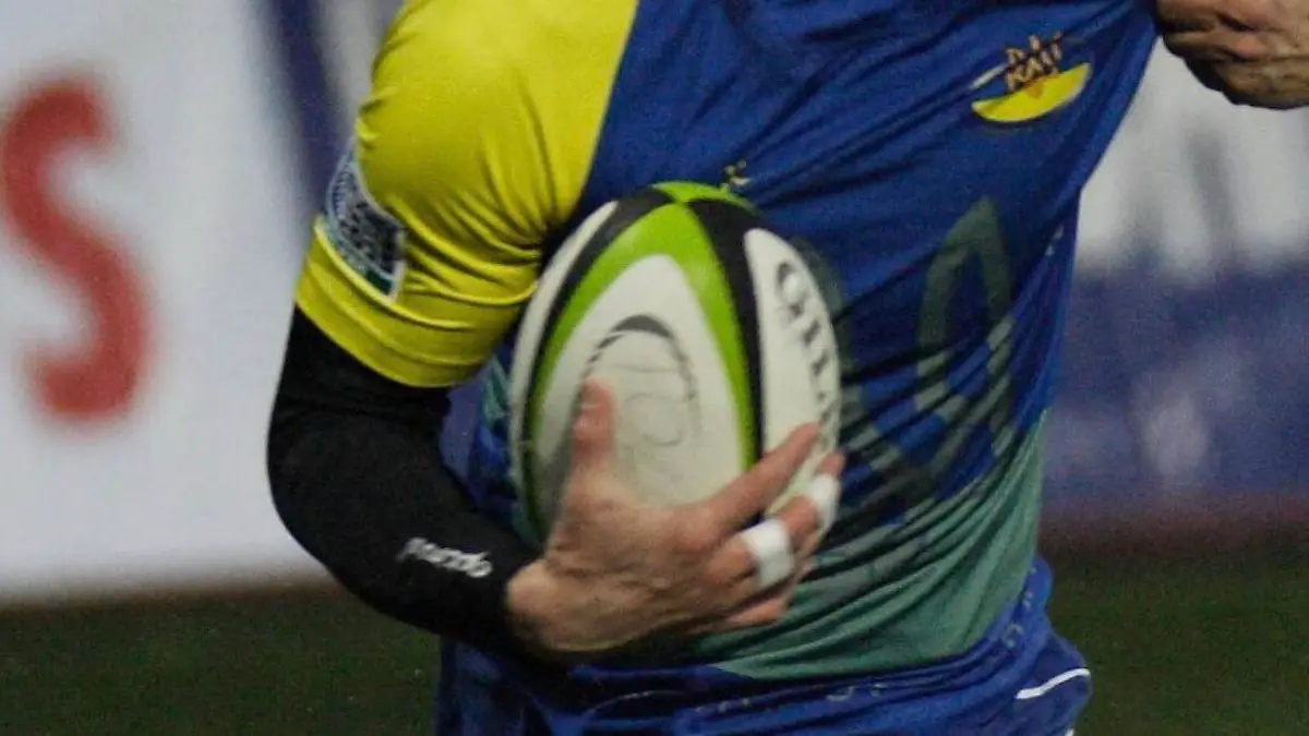 Oleksi Tsibko