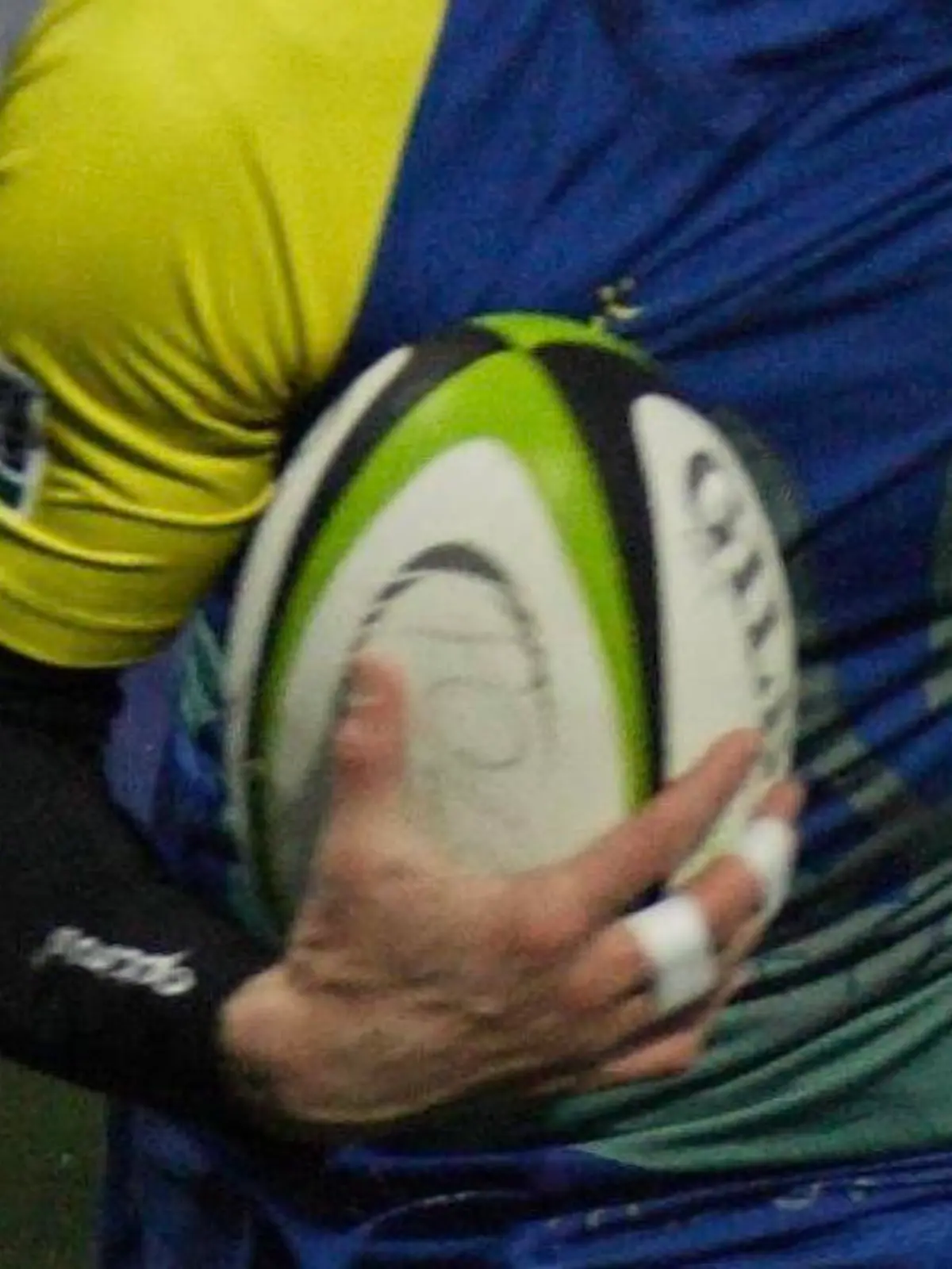Oleksi Tsibko