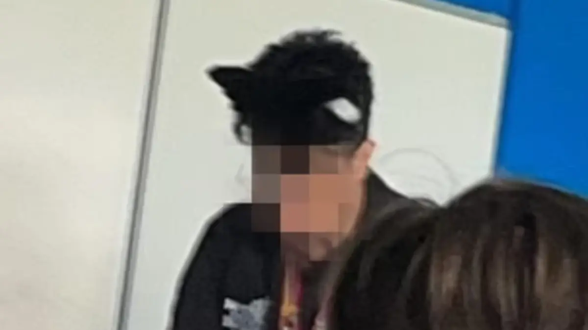 So steht die Katzen-Lehrerin vor der Klasse.