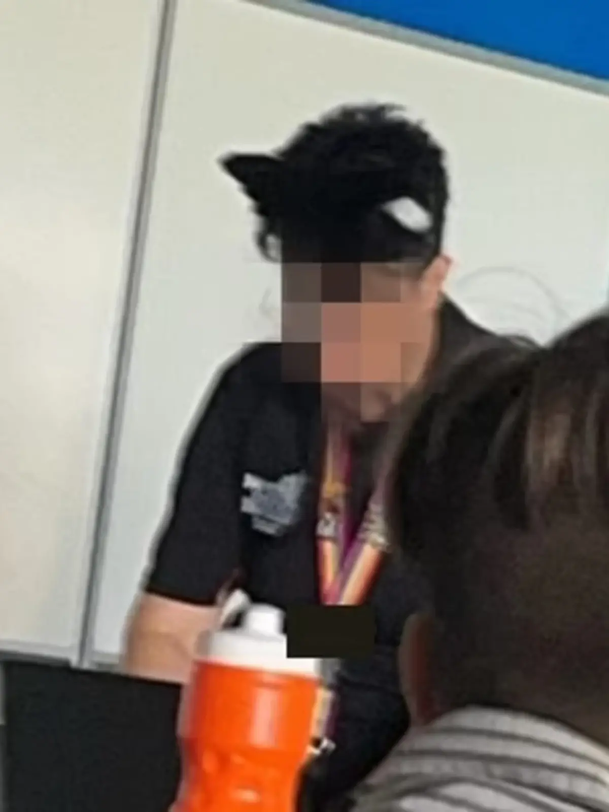So steht die Katzen-Lehrerin vor der Klasse.