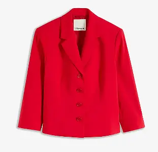 Roter Blazer